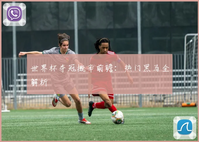世界杯夺冠概率前瞻：热门黑马全解析