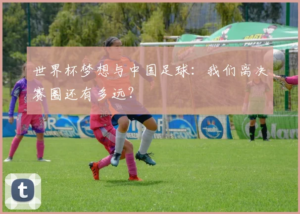 世界杯梦想与中国足球:我们离决赛圈还有多远?