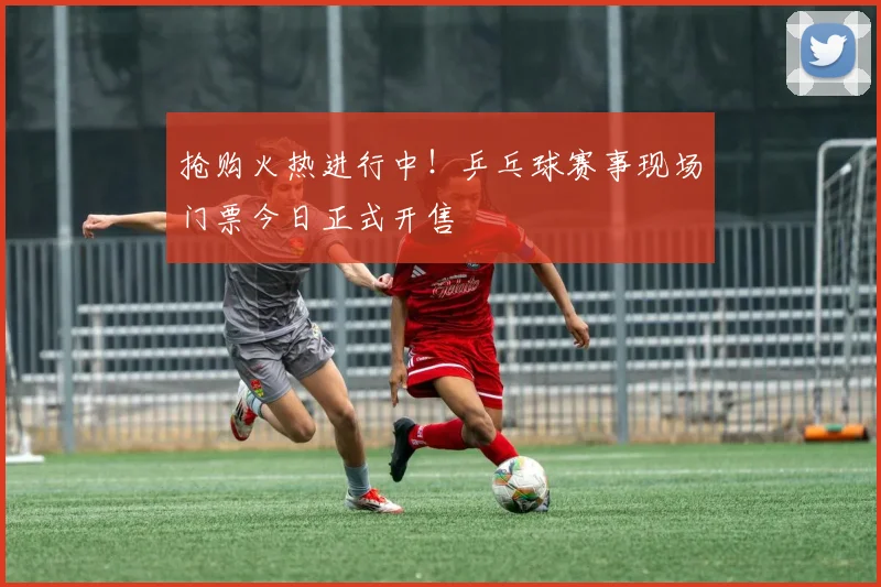 抢购火热进行中!乒乓球赛事现场门票今日正式开售