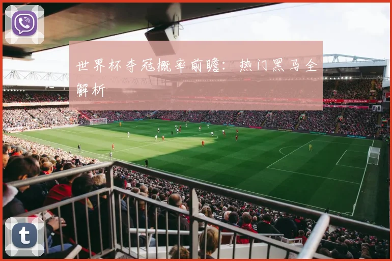 世界杯夺冠概率前瞻：热门黑马全解析